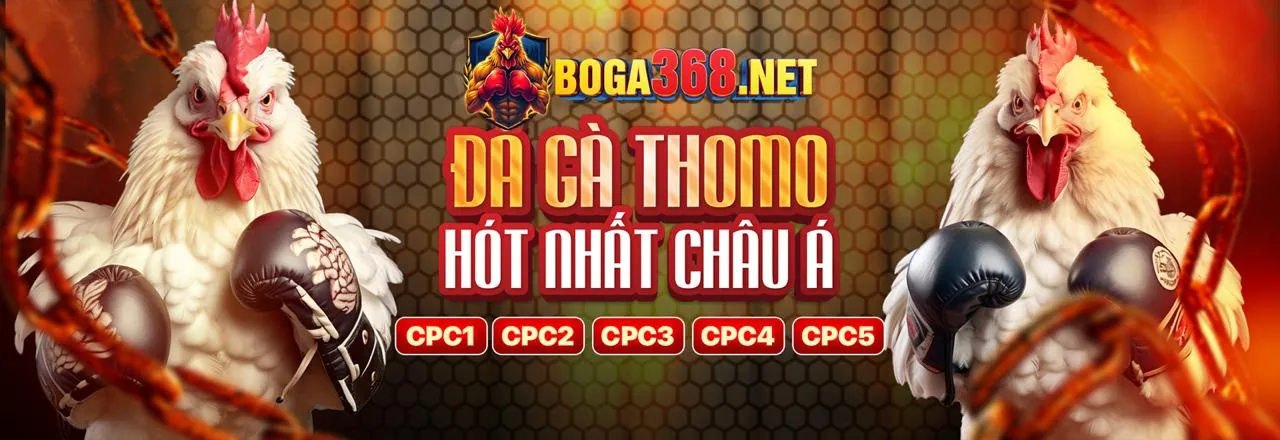 Hình ảnh chính về cá cược thể thao tại 55666 bong88 net