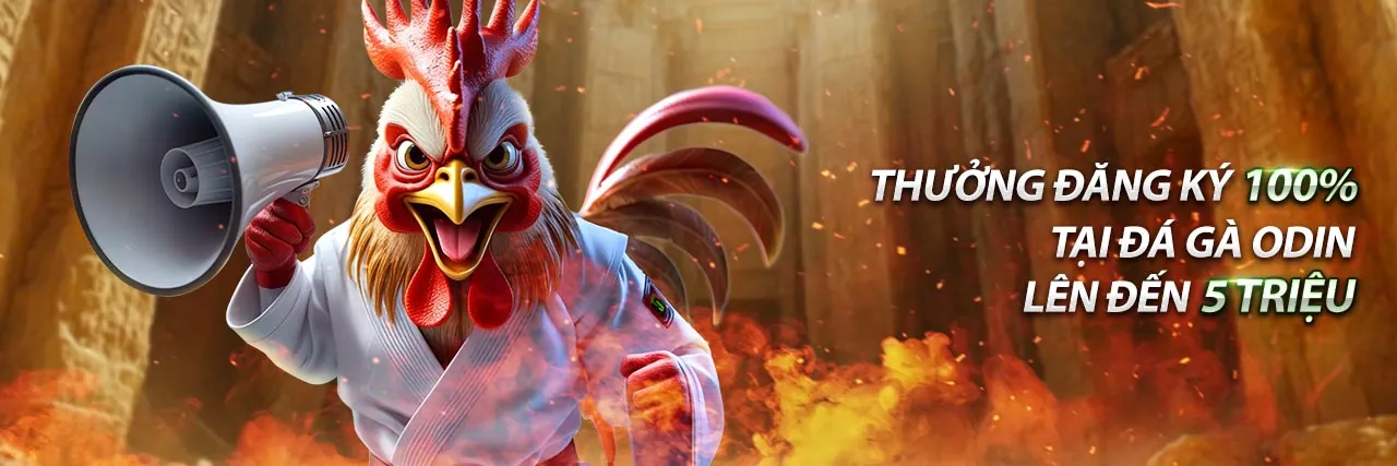 Các tính năng nổi bật của ứng dụng 55666 Bong88 Net