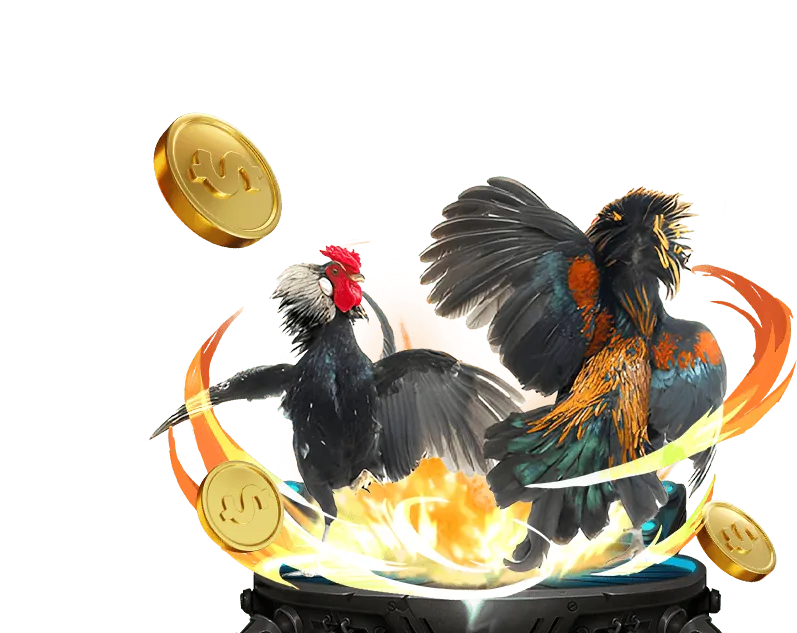 Banner hoàn trả hàng tuần